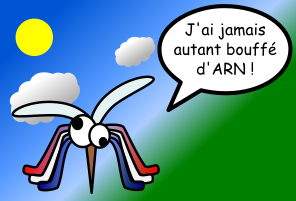 Y sont fous ces humains !